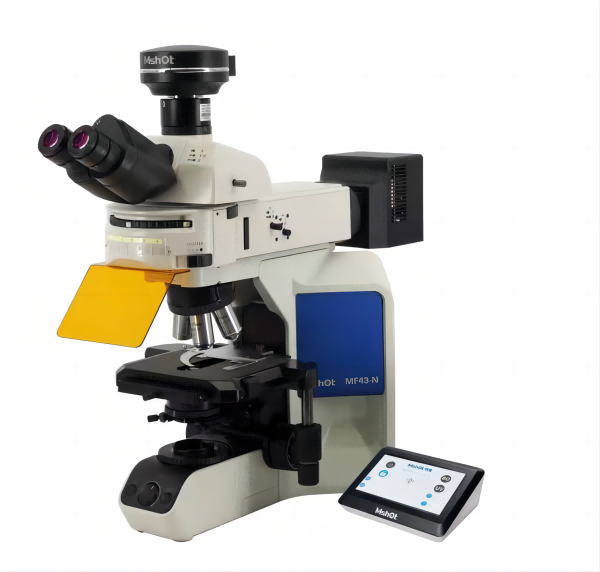 正置熒光顯微鏡MF43-N
