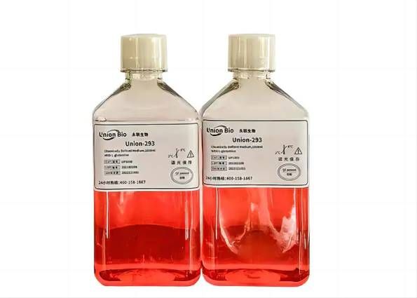 293培養(yǎng)基