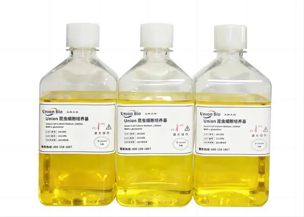 昆蟲細胞培養(yǎng)基