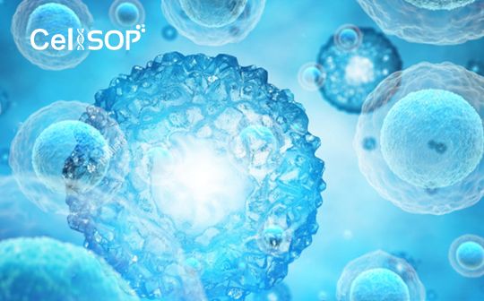 CellSOP細(xì)胞全流程質(zhì)量管理系統(tǒng)
