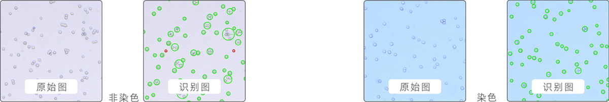 7d274b21afcd55e40e0766c9cffea073 7d274b21afcd55e40e0766c9cffea073