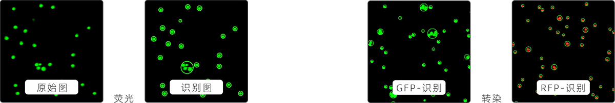 a14d1b1273077e13e8cf00c6d9f0ee72 a14d1b1273077e13e8cf00c6d9f0ee72