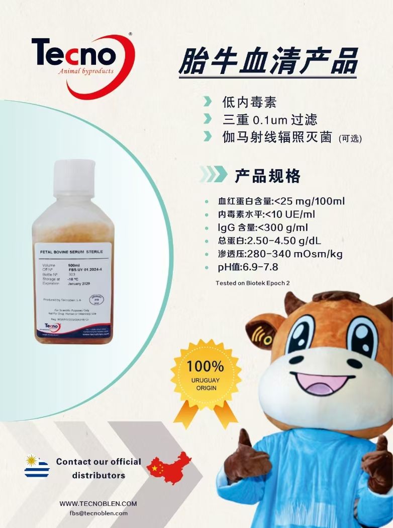 微信圖片_20250103190848 微信圖片_20250103190848